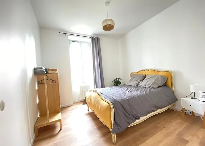 Le Vichatel - T3 En Centre Proche De Place Gaillard