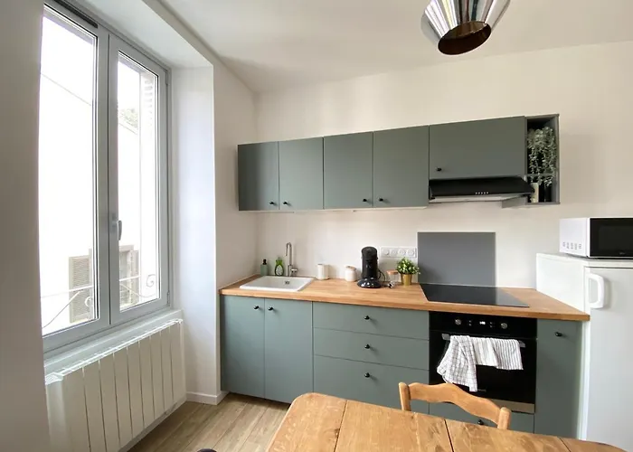 Le Vichatel - T3 En Centre Proche De Place Gaillard 公寓