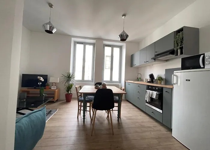 公寓 Le Vichatel - T3 En Centre Proche De Place Gaillard 克莱蒙费朗